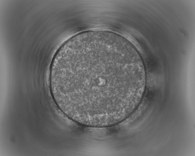 X0000112930856200909071032