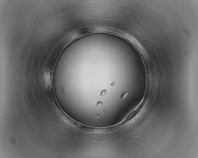 X0000112930857200909071032