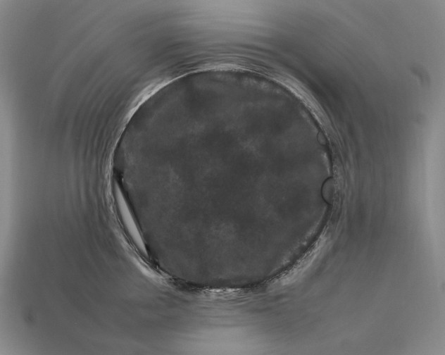 X0000112930858200909071032