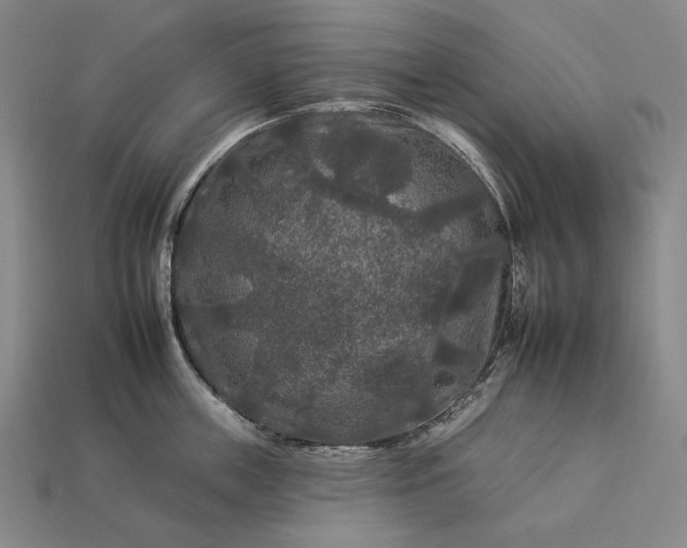 X0000112930859200909071032