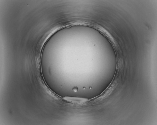 X0000112930860200909071032