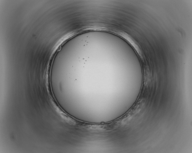 X0000112930861200909071032