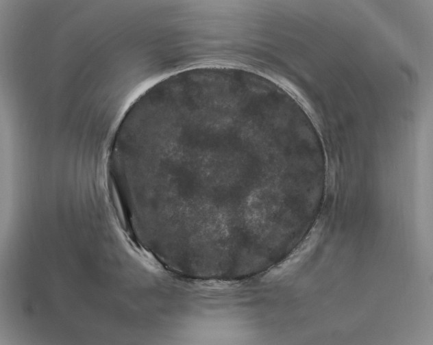 X0000112930862200909071032