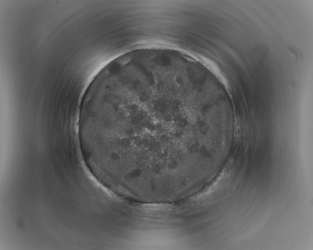 X0000112930863200909071032