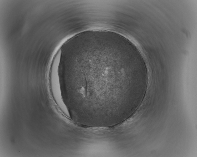 X0000112930864200909071032