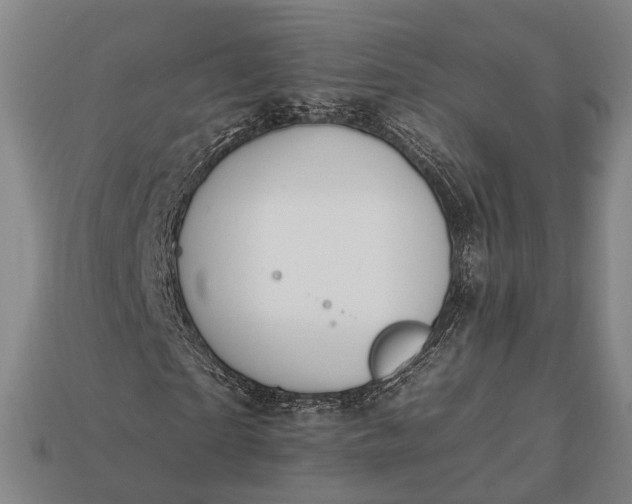 X0000112930865200909071031