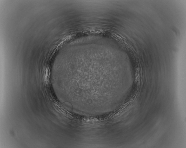 X0000112930866200909071031