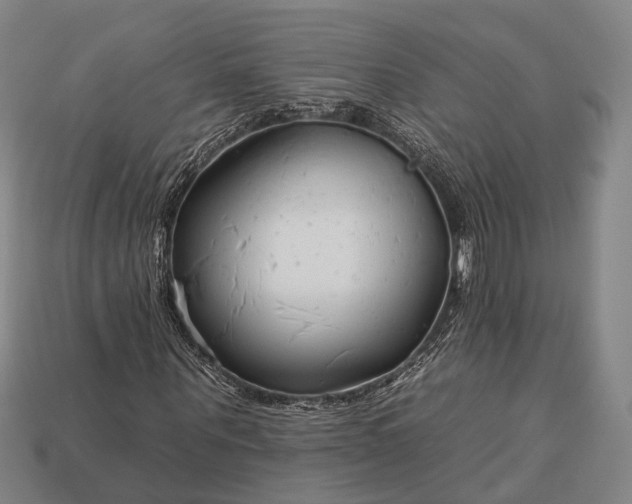 X0000112930867200909071031