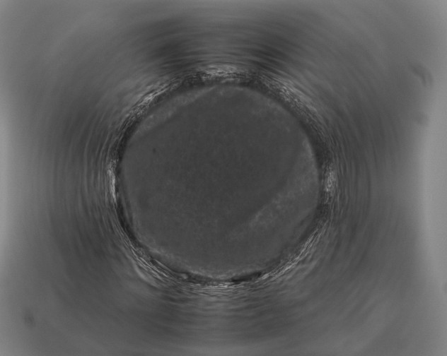 X0000112930868200909071031