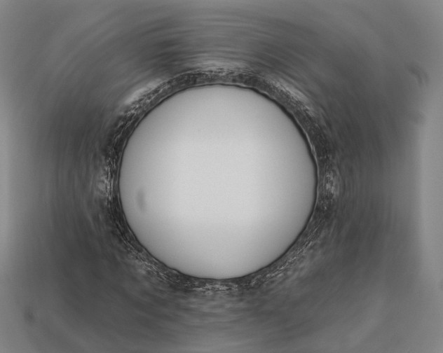 X0000112930869200909071031