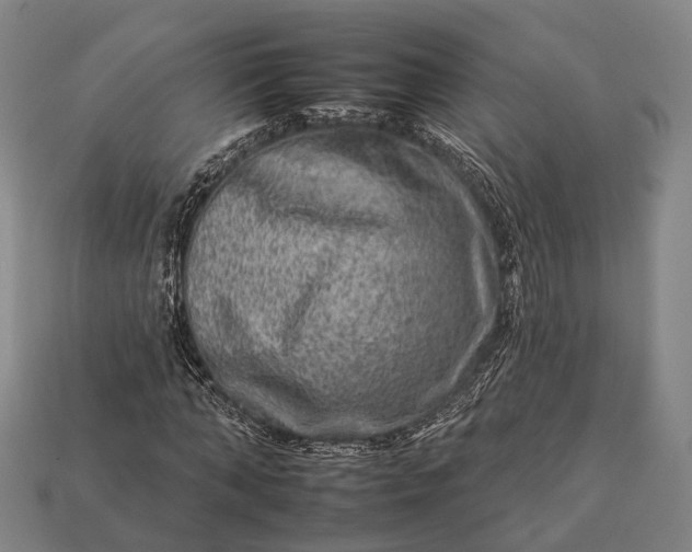 X0000112930870200909071031