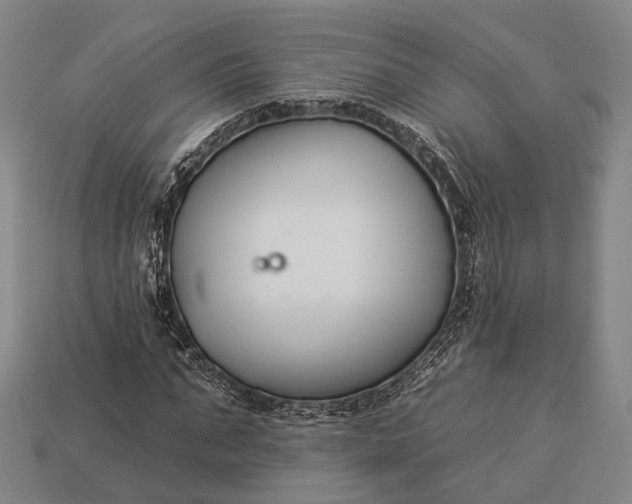 X0000112930871200909071031