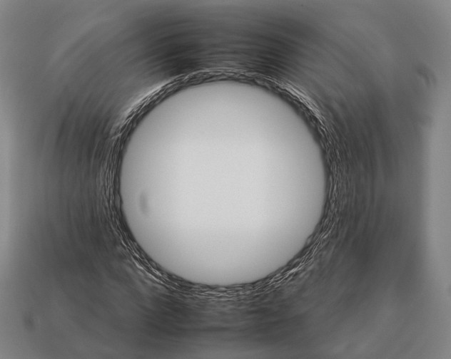 X0000112930872200909071031