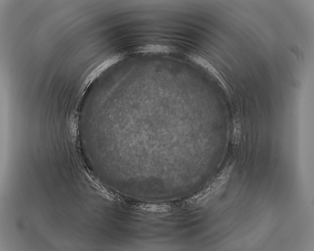 X0000112930874200909071031