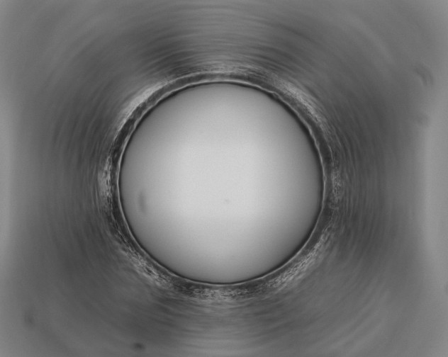 X0000112930875200909071031