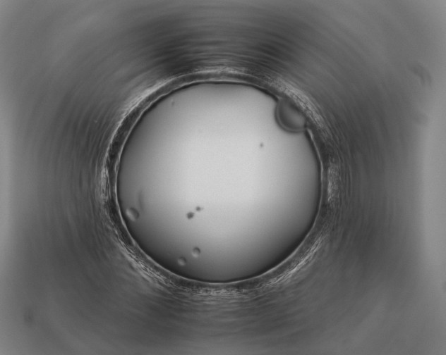 X0000112930876200909071031