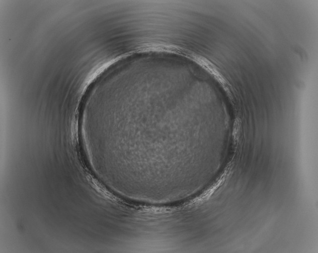 X0000112930877200909071031