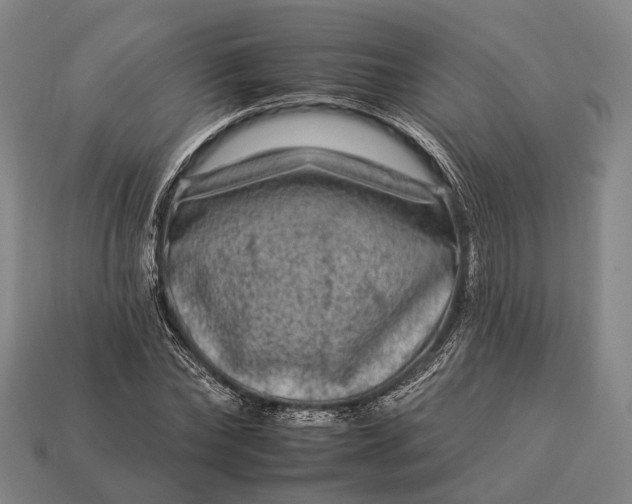 X0000112930878200909071031