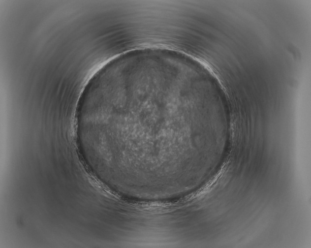 X0000112930879200909071031