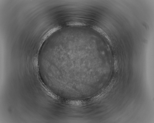 X0000112930882200909071031