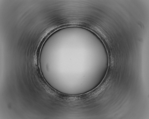 X0000112930883200909071031