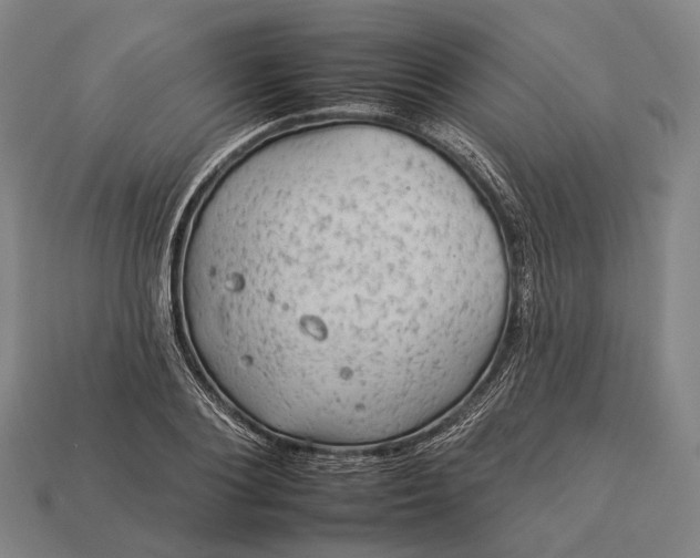 X0000112930884200909071031