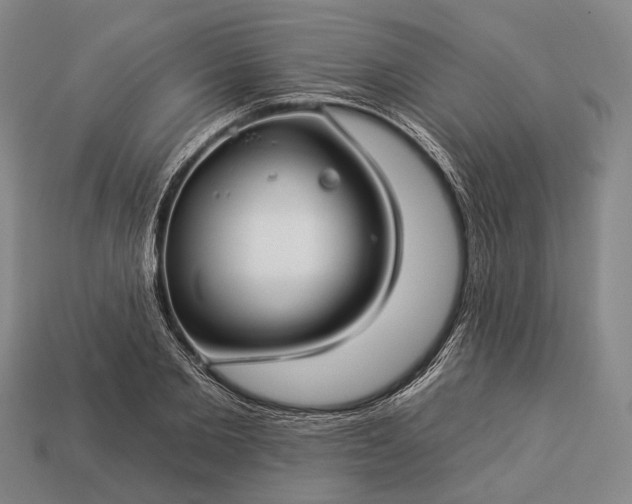 X0000112930885200909071031