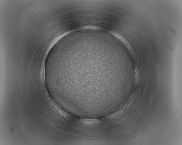 X0000112930886200909071031