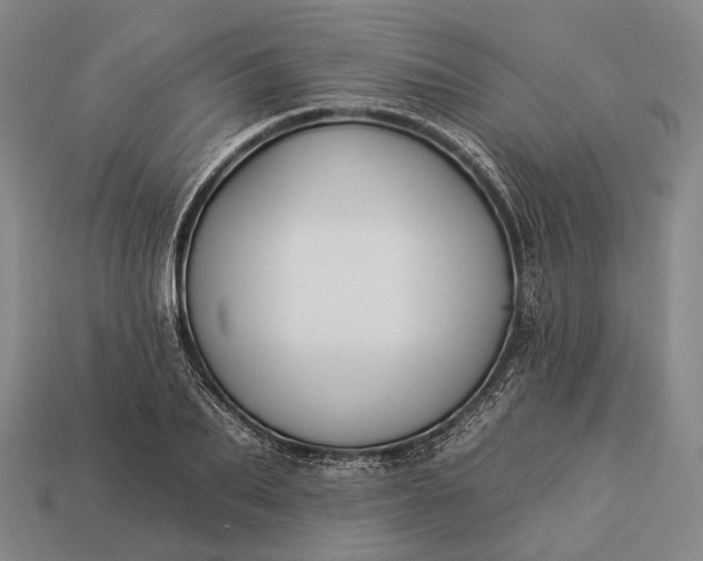 X0000112930887200909071031