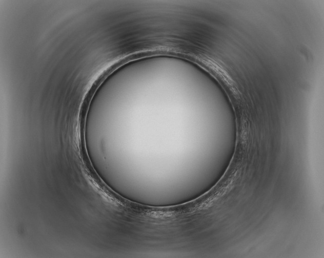 X0000112930888200909071031