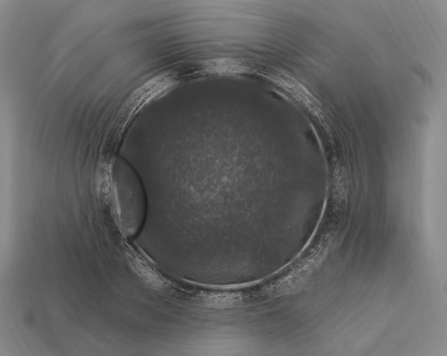 X0000112930889200909071031