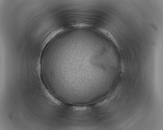 X0000112930890200909071031