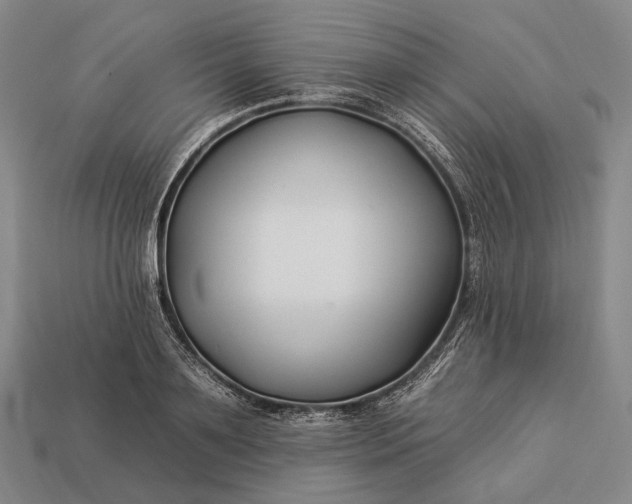 X0000112930891200909071031