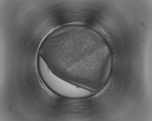 X0000112930892200909071031