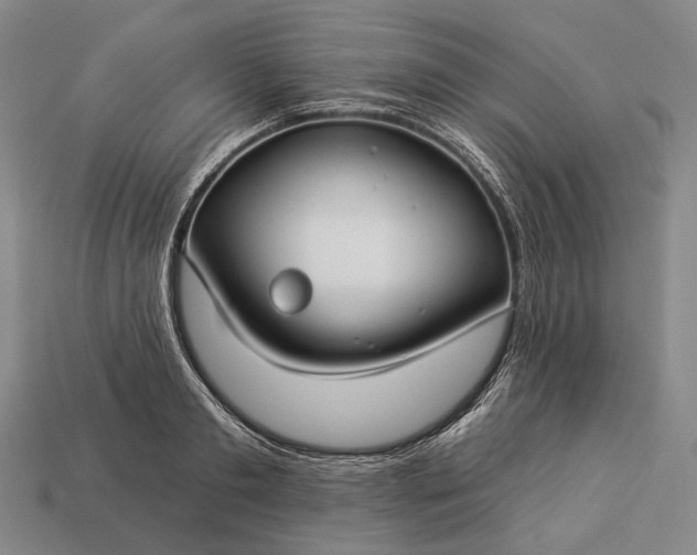 X0000112930893200909071031