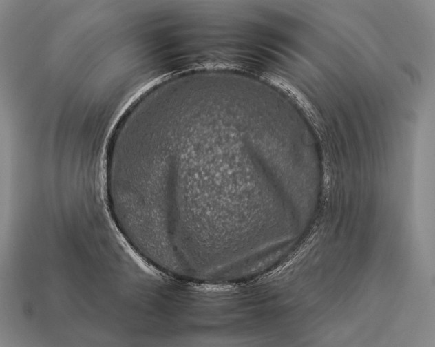 X0000112930894200909071031