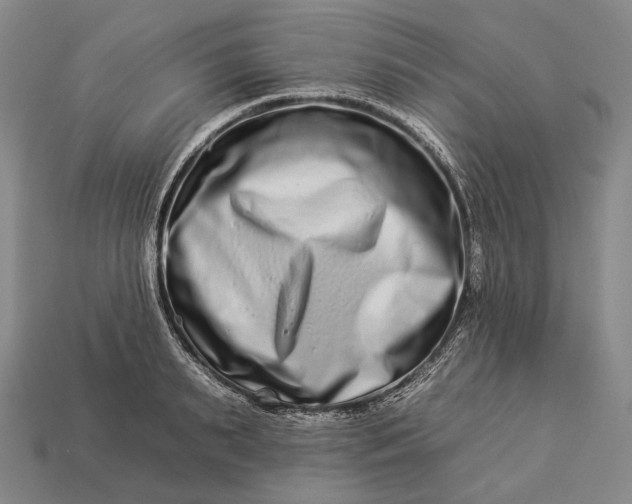 X0000112930895200909071031