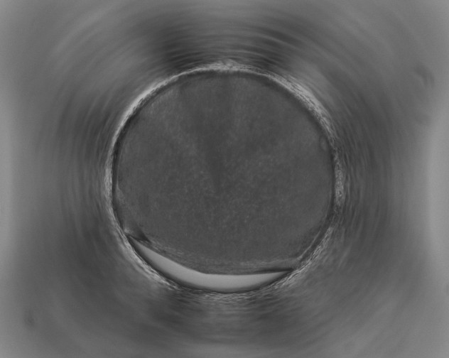 X0000112930896200909071031