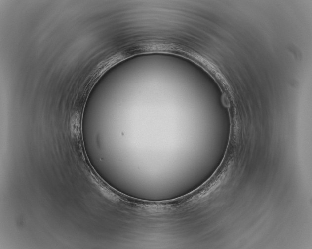 X0000112930897200909071031