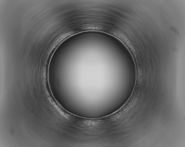 X0000112930898200909071031