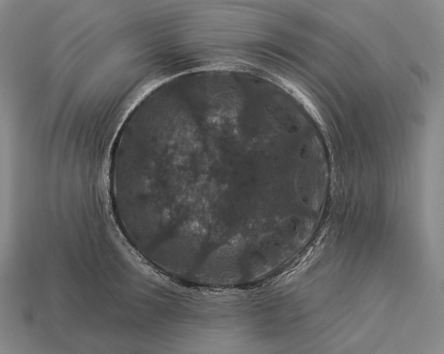 X0000112930899200909071031