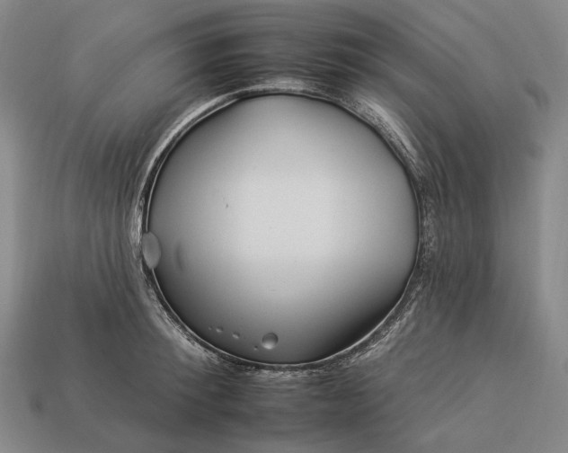 X0000112930900200909071031