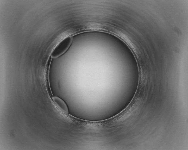 X0000112930901200909071031