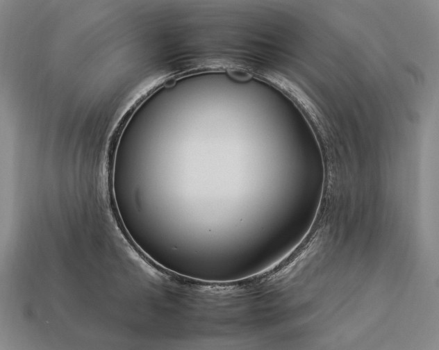 X0000112930902200909071031