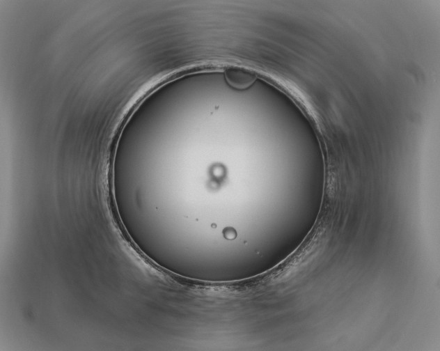 X0000112930903200909071031