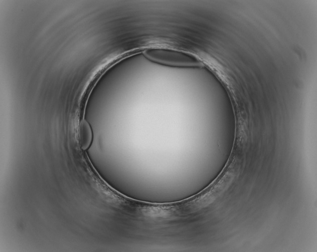 X0000112930904200909071031