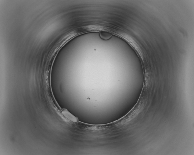 X0000112930906200909071031