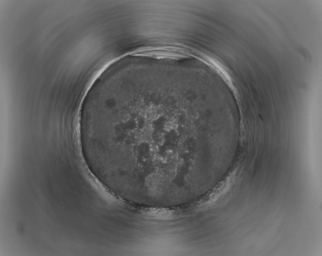 X0000112930907200909071031