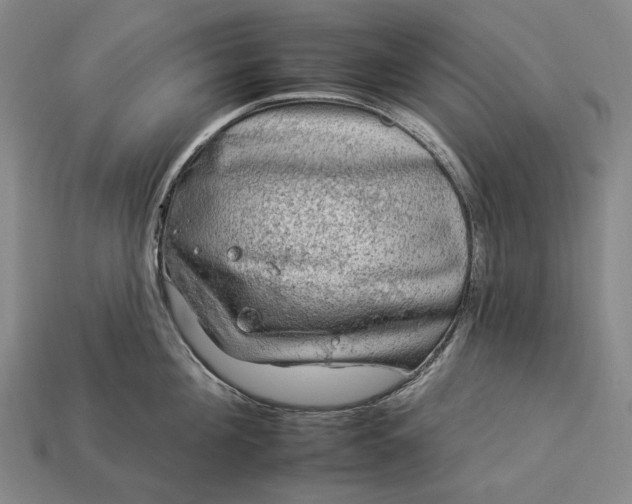 X0000112930908200909071031