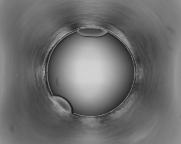 X0000112930909200909071031